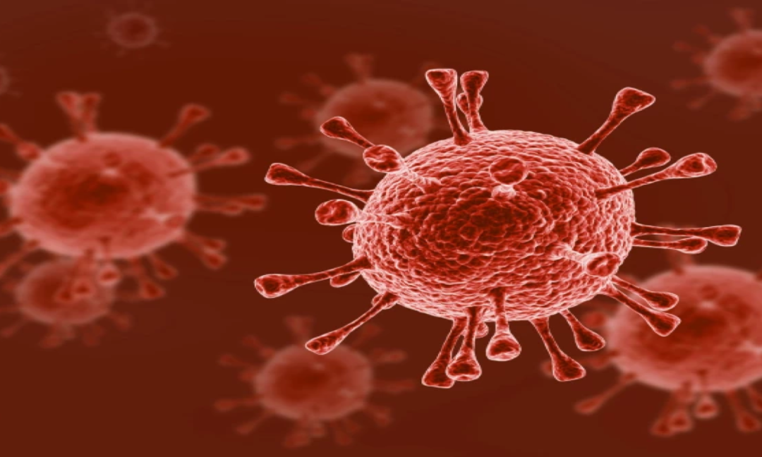 SAIBA MAIS SOBRE O HIV