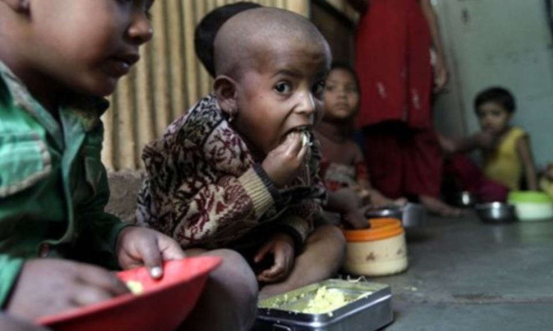 Saiba mais sobre Má Nutrição