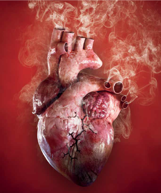 Fumo de tabaco destrói corações