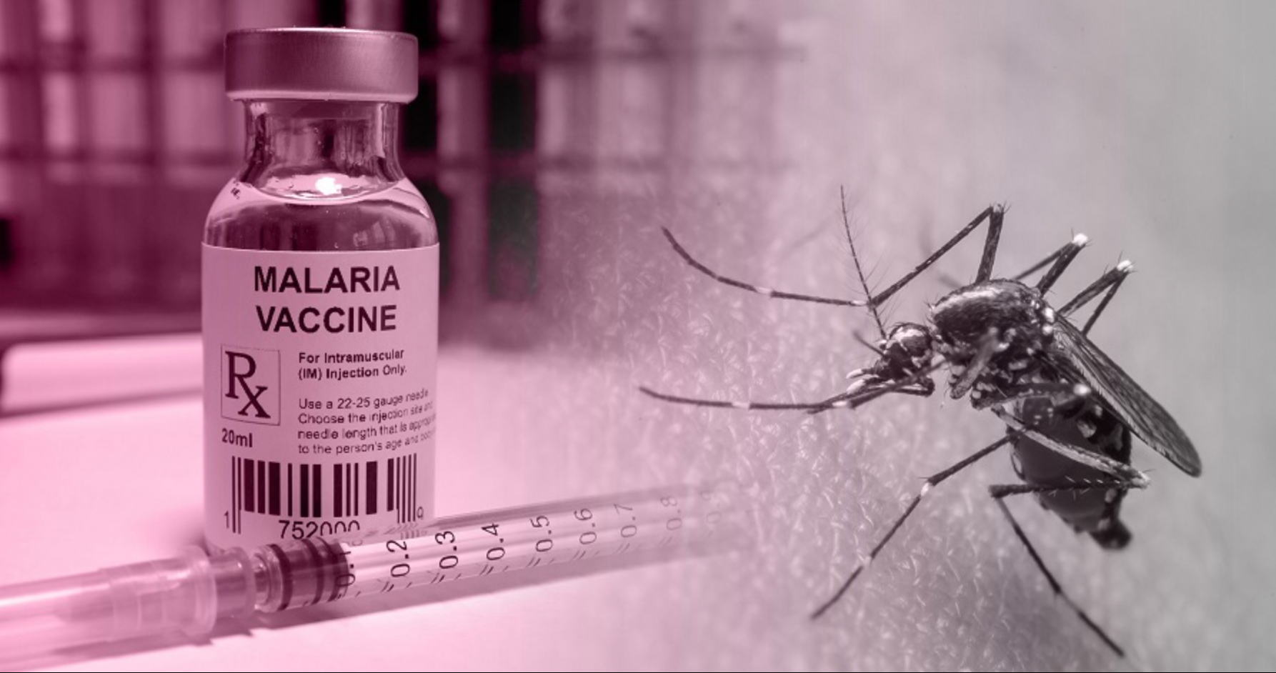 vacina malaria