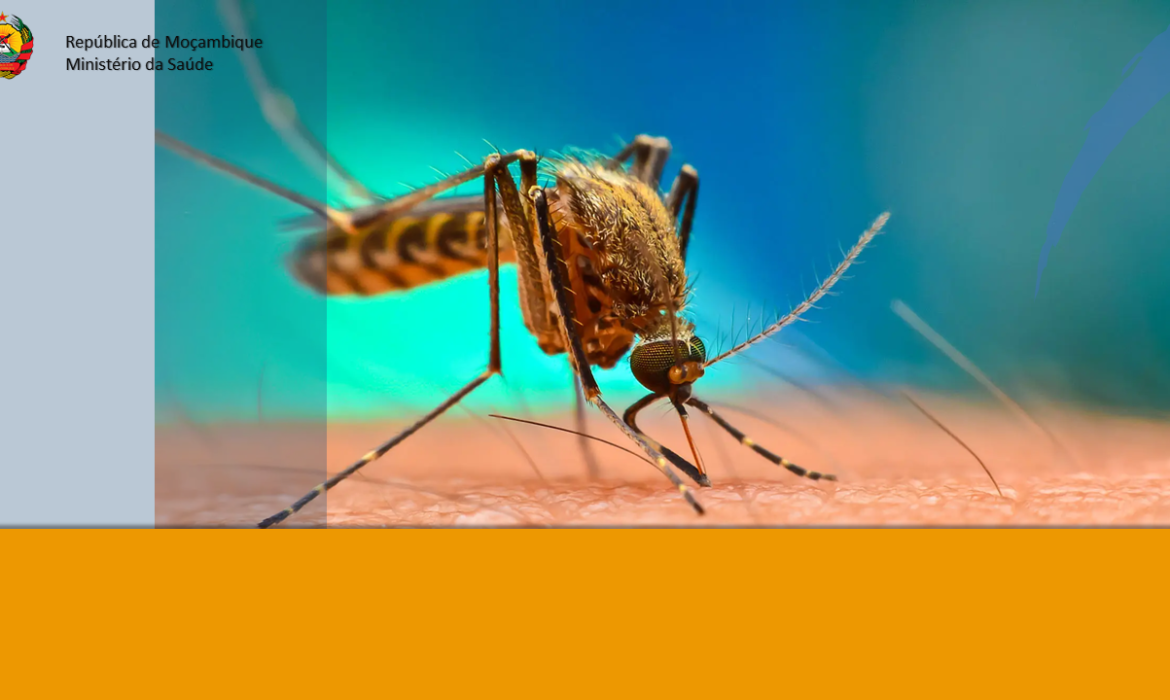 Manejo de caso de Malária